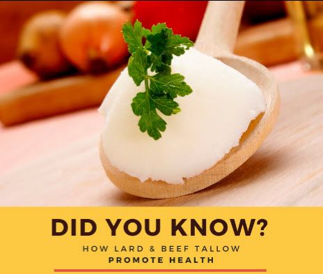 DID YOU KNOW? How Lard and Beef Tallow Promote Health